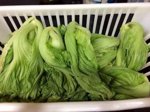TCL分子保鲜科技：“全能”保鲜为“年味”护航